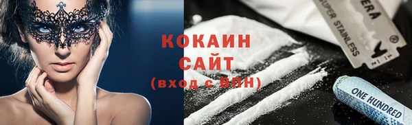стаф Богородицк