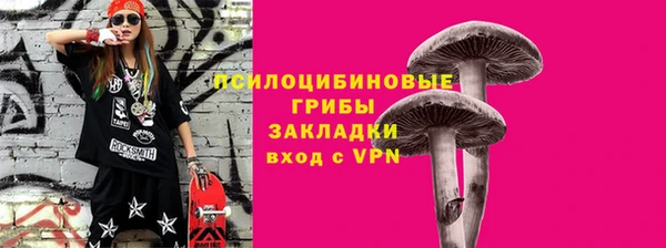 бошки Бородино