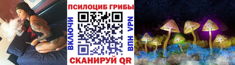 Галлюциногенные грибы Magic Shrooms купить Бикин